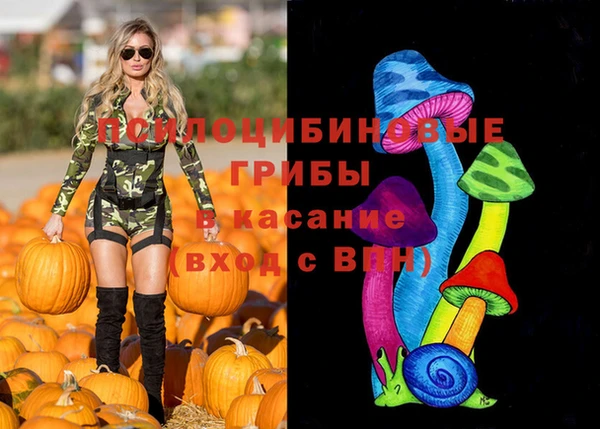 бутират Верея